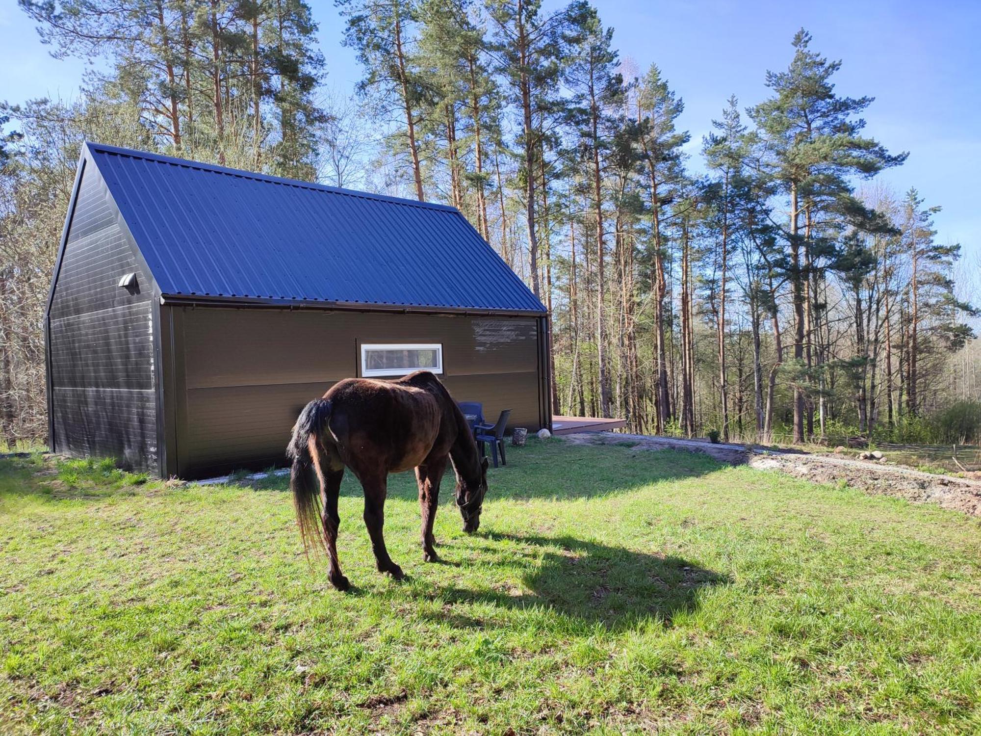 Modern Sauna Cabin In Horse Ranch Liyeplauke Bagian luar foto