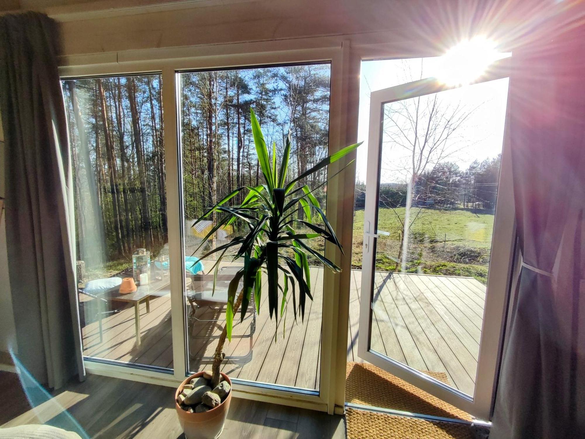 Modern Sauna Cabin In Horse Ranch Liyeplauke Bagian luar foto